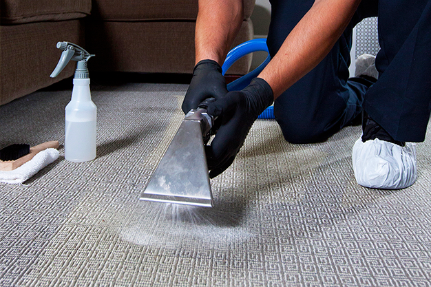 Best Carpet Cleaning Services in Bangalore | Carpet Shampooing Services |  Aquuamarine
